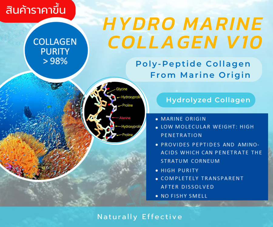 Hydro Marine Collagen V10 คอลลาเจนจากปลาทะเล ในรูปของ Hydrolyzed Collagen ไม่มีกลิ่นคาว ดูดซึมสู่ผิวง่าย